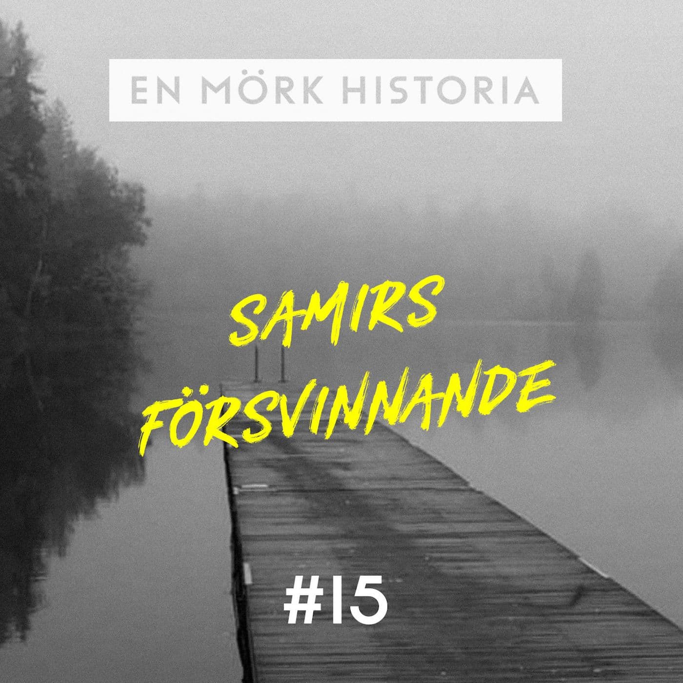 Samirs försvinnande 2/3 - "Vittnena" artwork