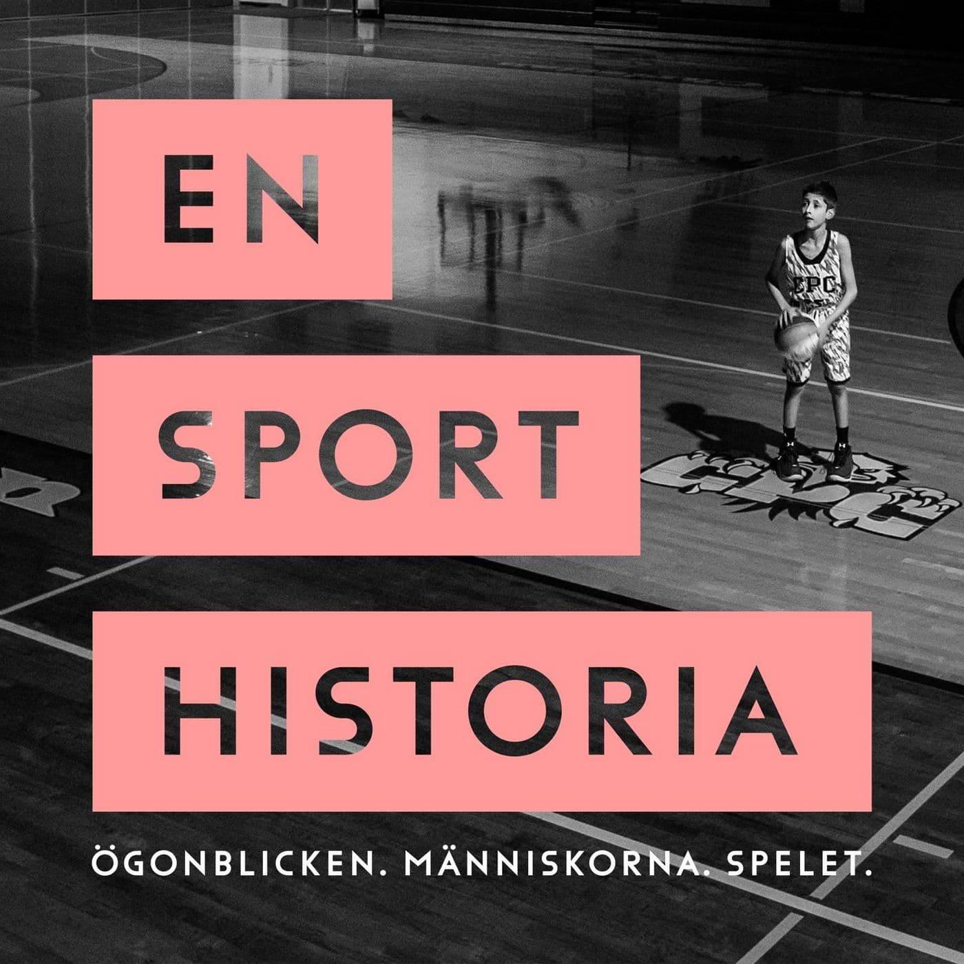NY PODD: En sporthistoria artwork