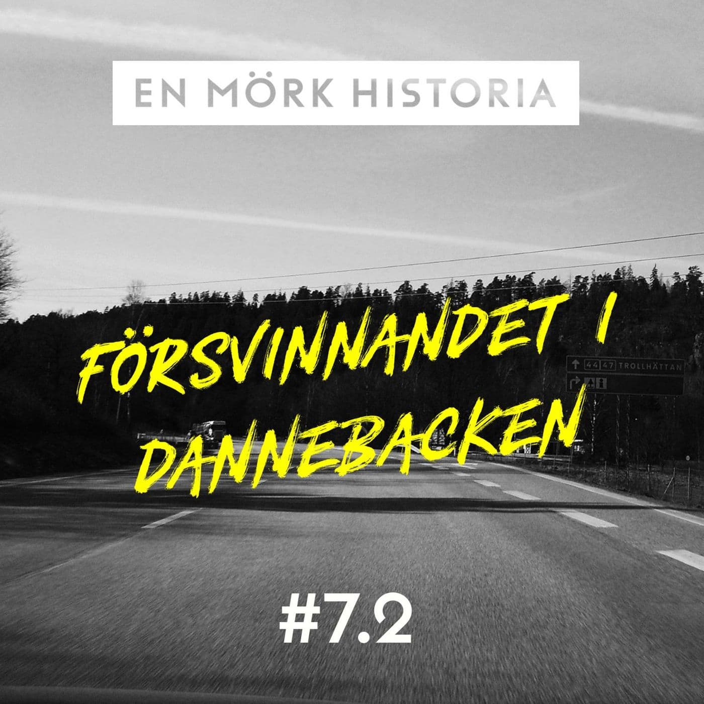 Försvinnandet i Dannebacken - Del 2/3 artwork