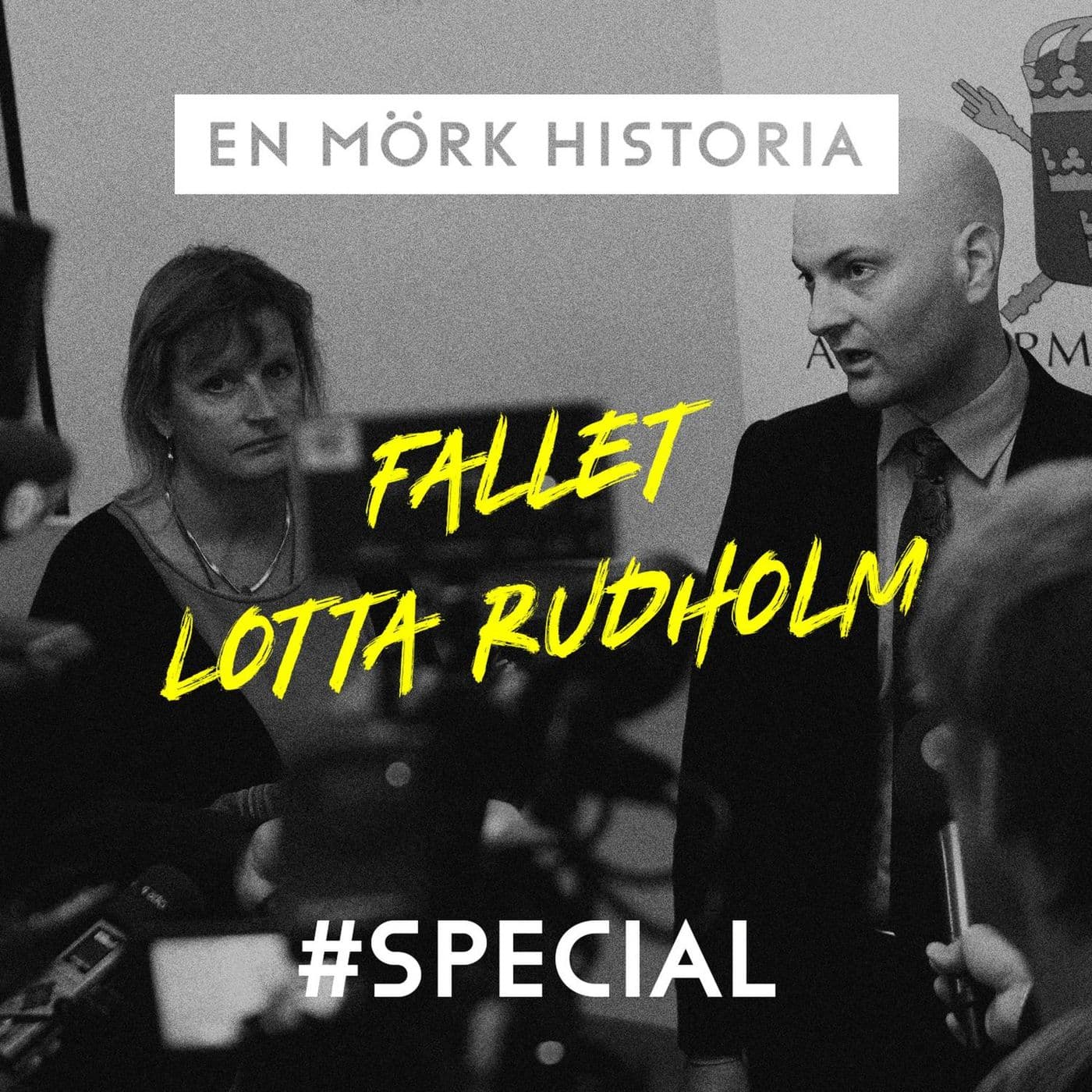 SPECIAL: Fallet Lotta Rudholm artwork