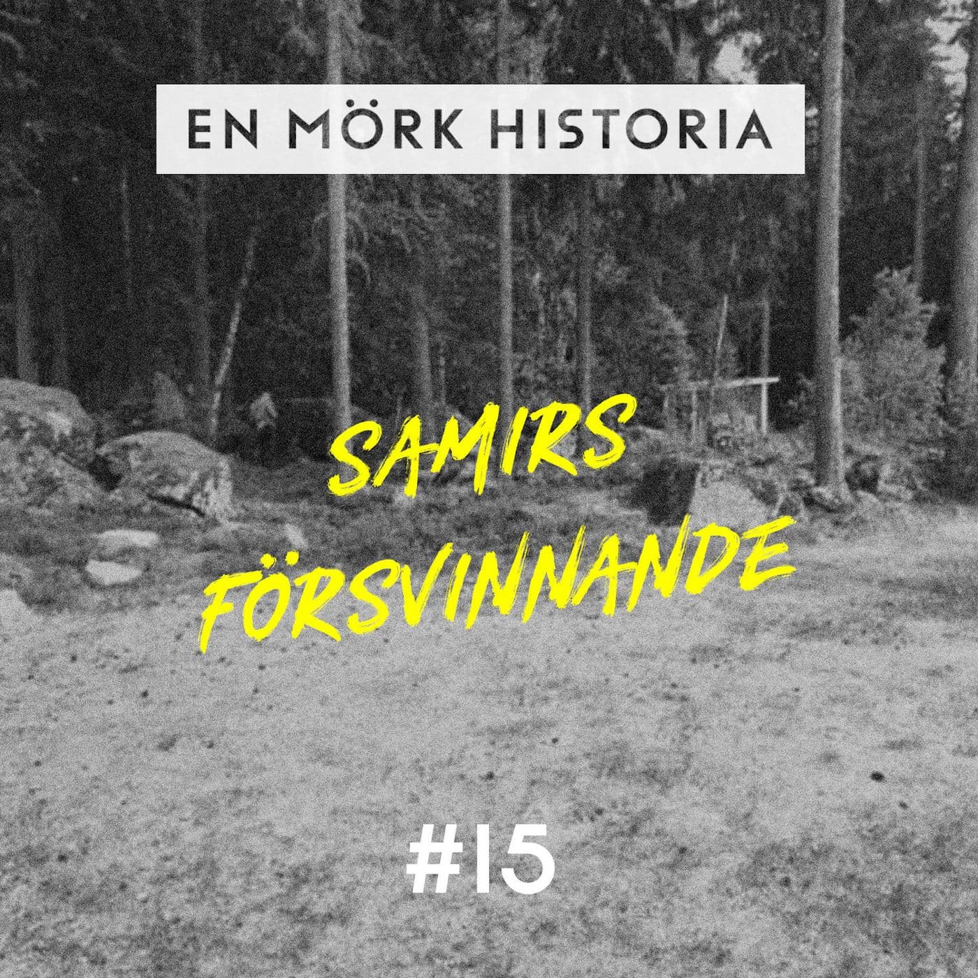Samirs försvinnande 3/3 - ”Sveket” artwork