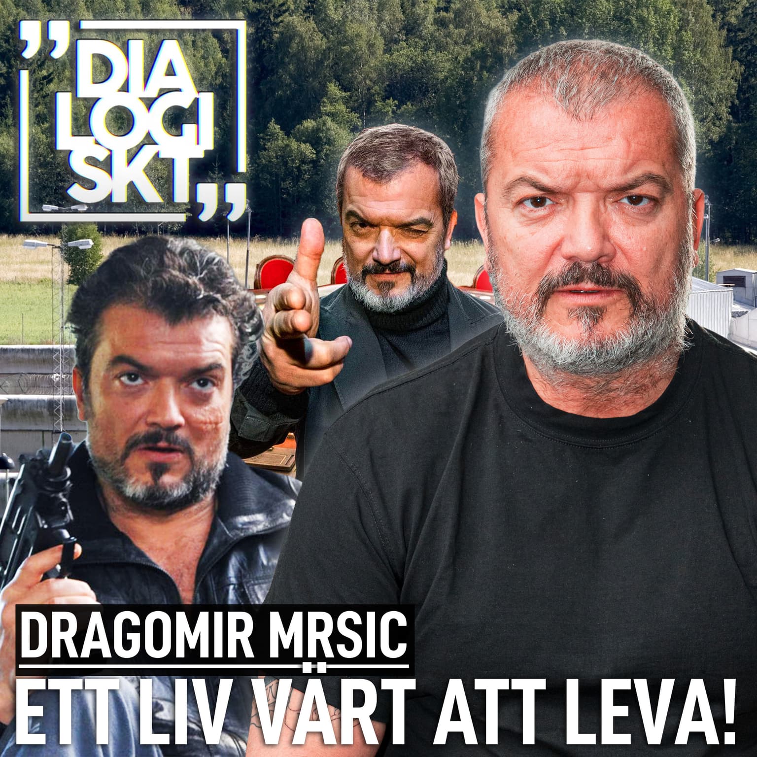 #243, Dragomir Mrsic, ”ETT LIV VÄRT ATT LEVA” artwork