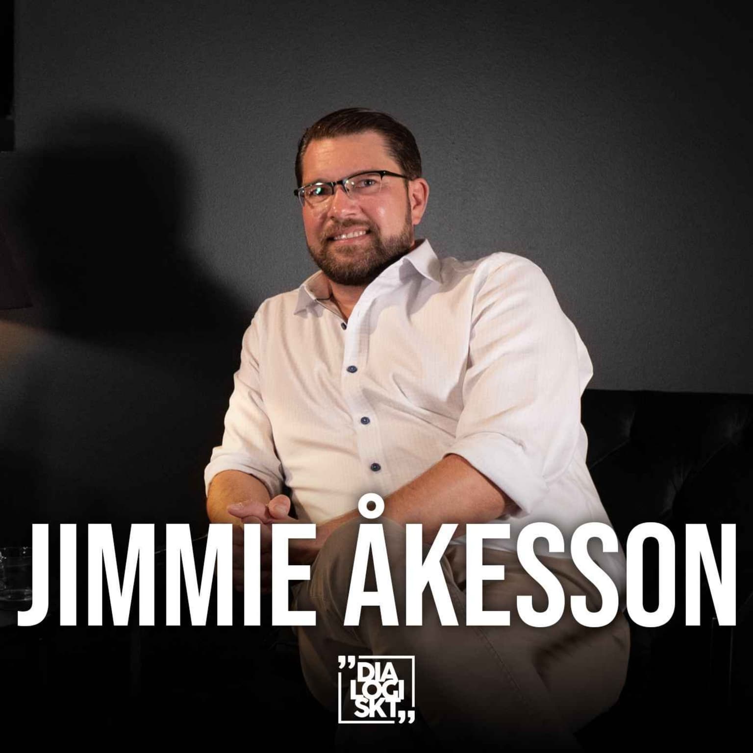 #124 Jimmie Åkesson ”Sverige i tiden” artwork