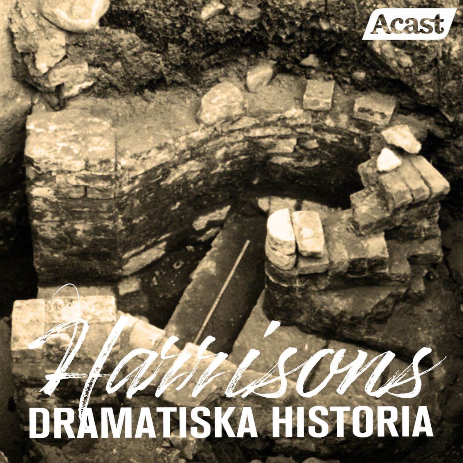 Sveriges första livskraftiga städer artwork