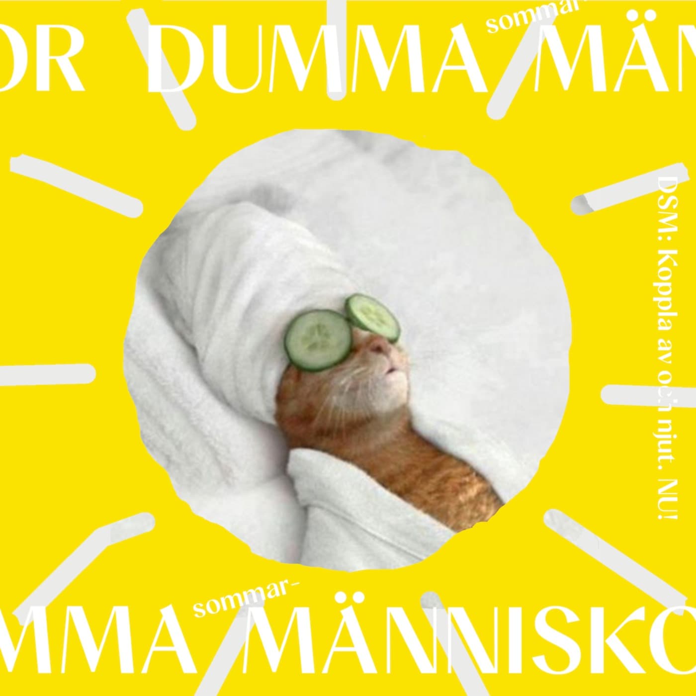 DSM: Koppla av och njut. NU! artwork