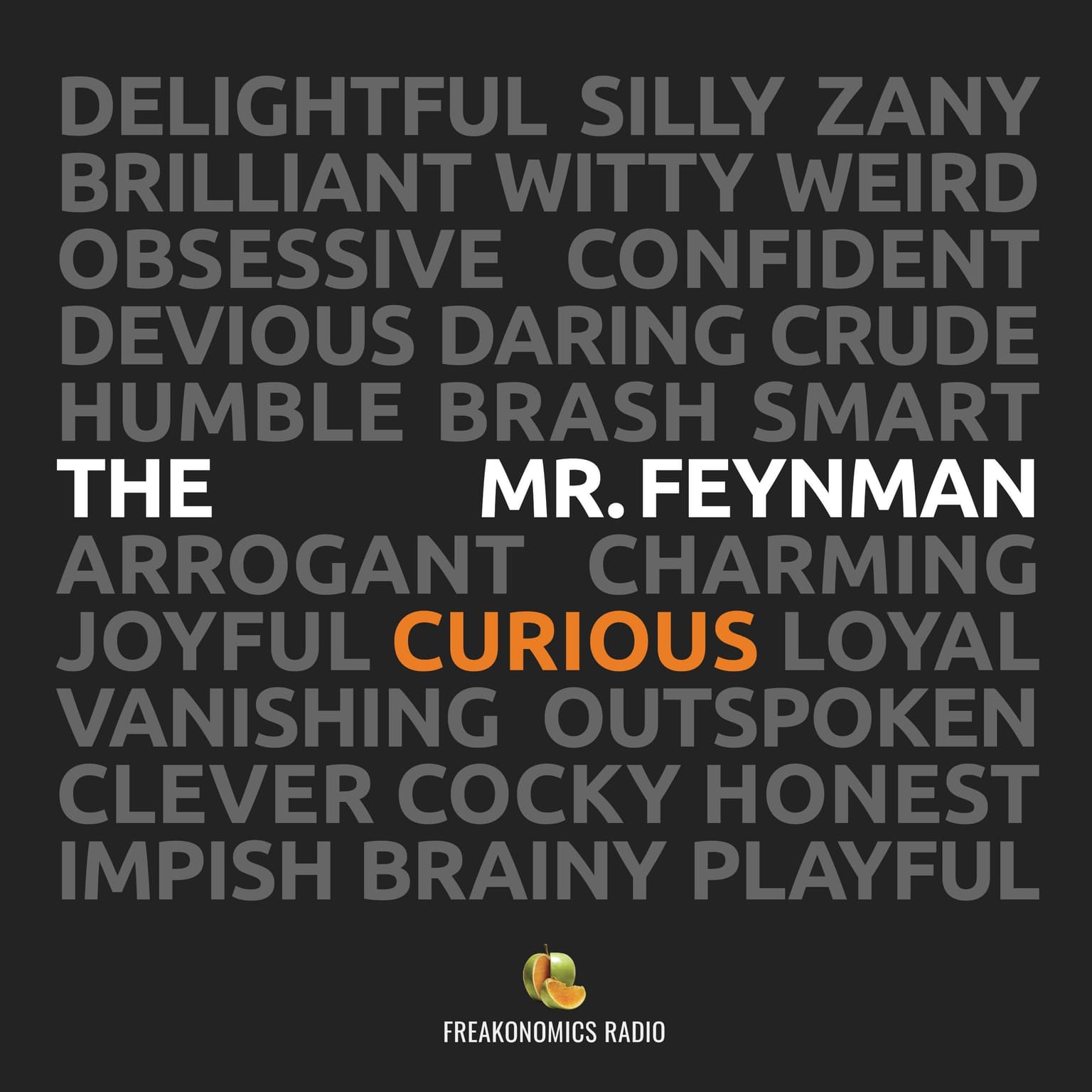 The Curious Mr. Feynman (Update) artwork