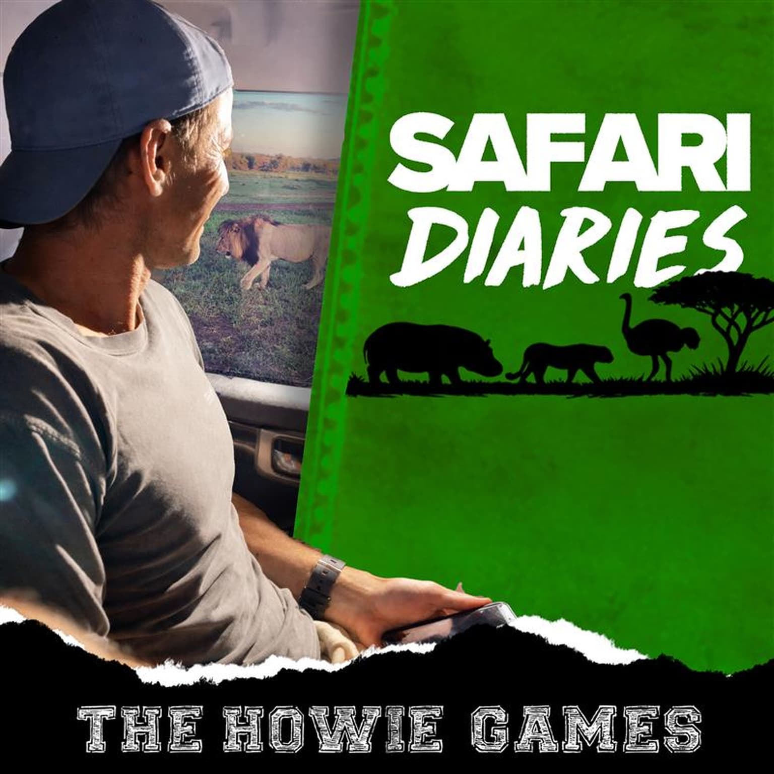 Travel Diaries: African Safari (Part B) artwork