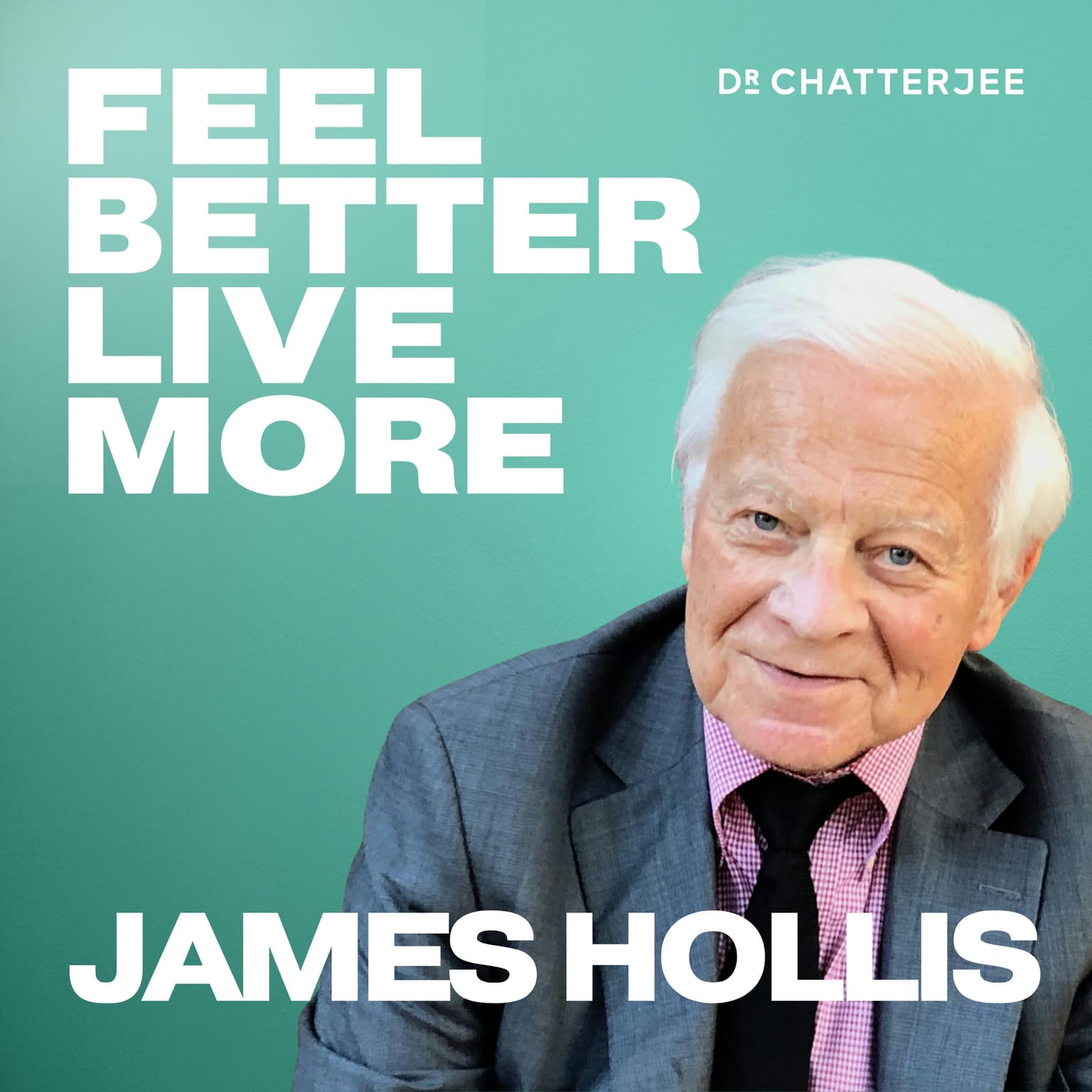 How To Find Meaning and Purpose At Any Age with Dr James Hollis #641 artwork