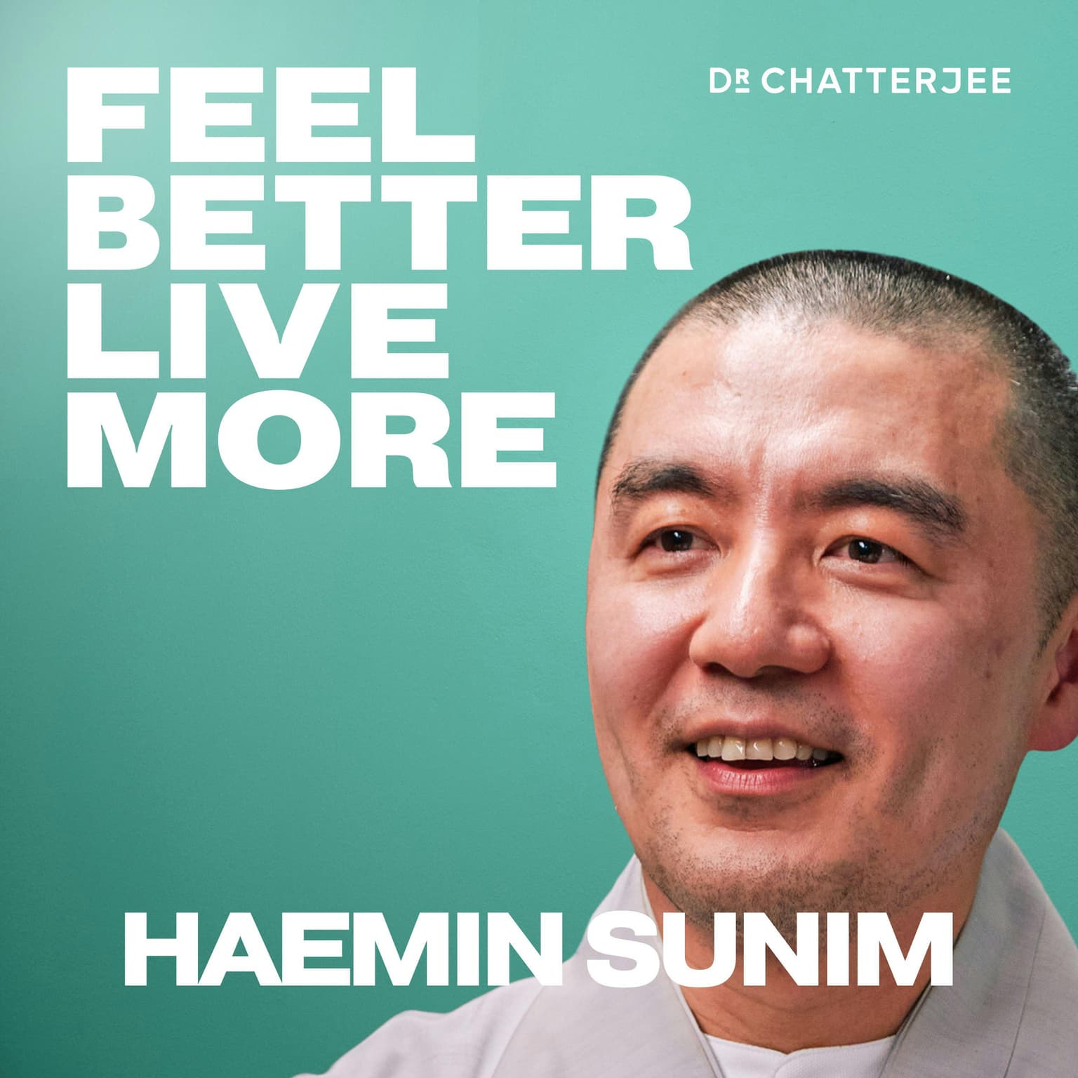 A Monk's Guide To Finding Happiness, Cultivating Inner Peace & Slowing Down In A Fast-Paced World: Haemin Sunim #476 artwork
