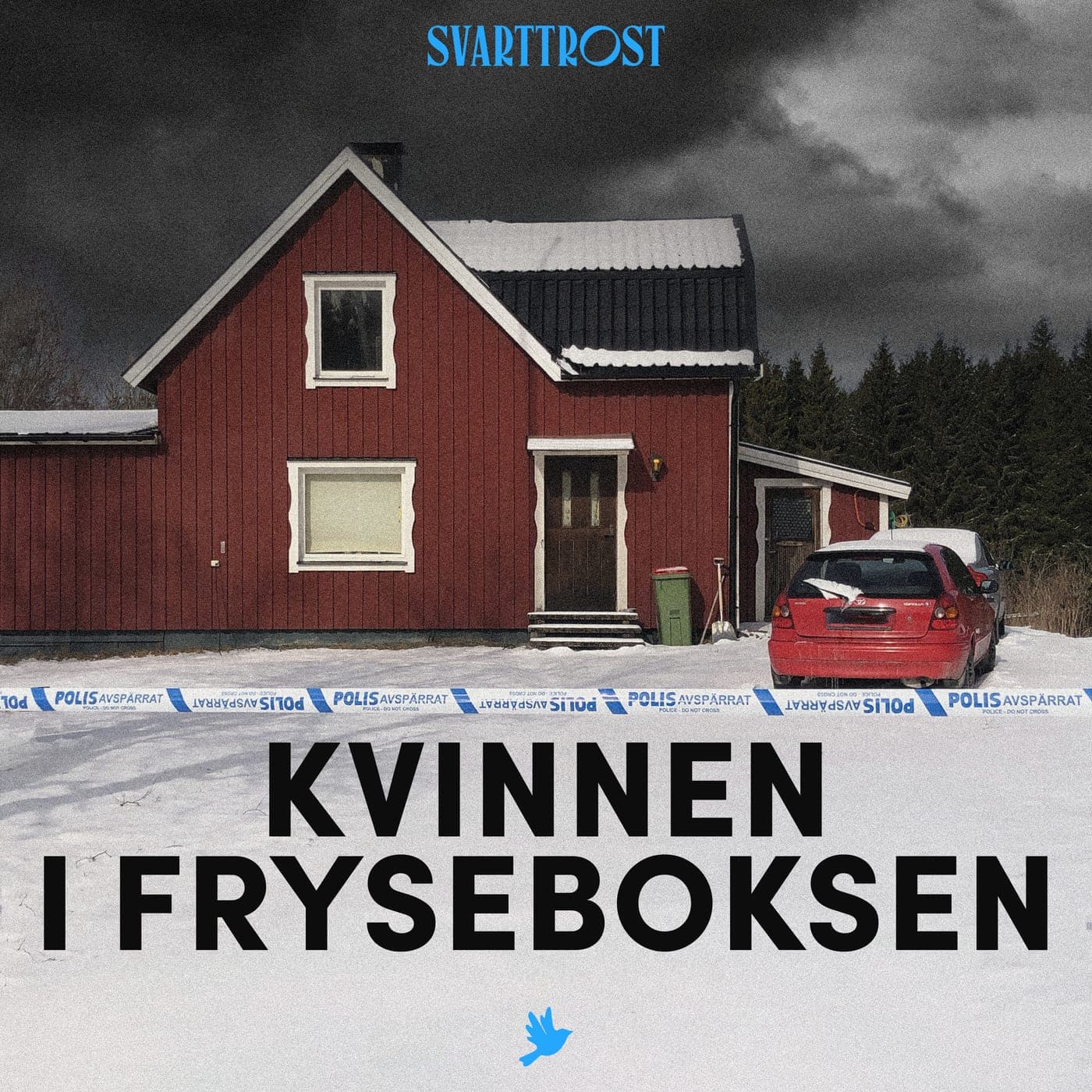 Trailer: Kvinnen i fryseboksen artwork