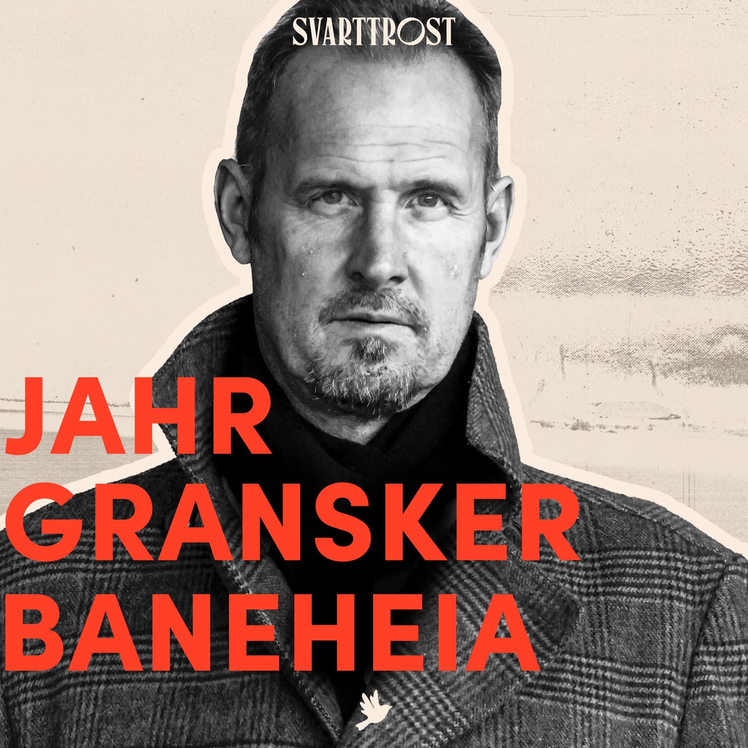 Jahr gransker Baneheia (1:10) Funnet som ble oversett artwork