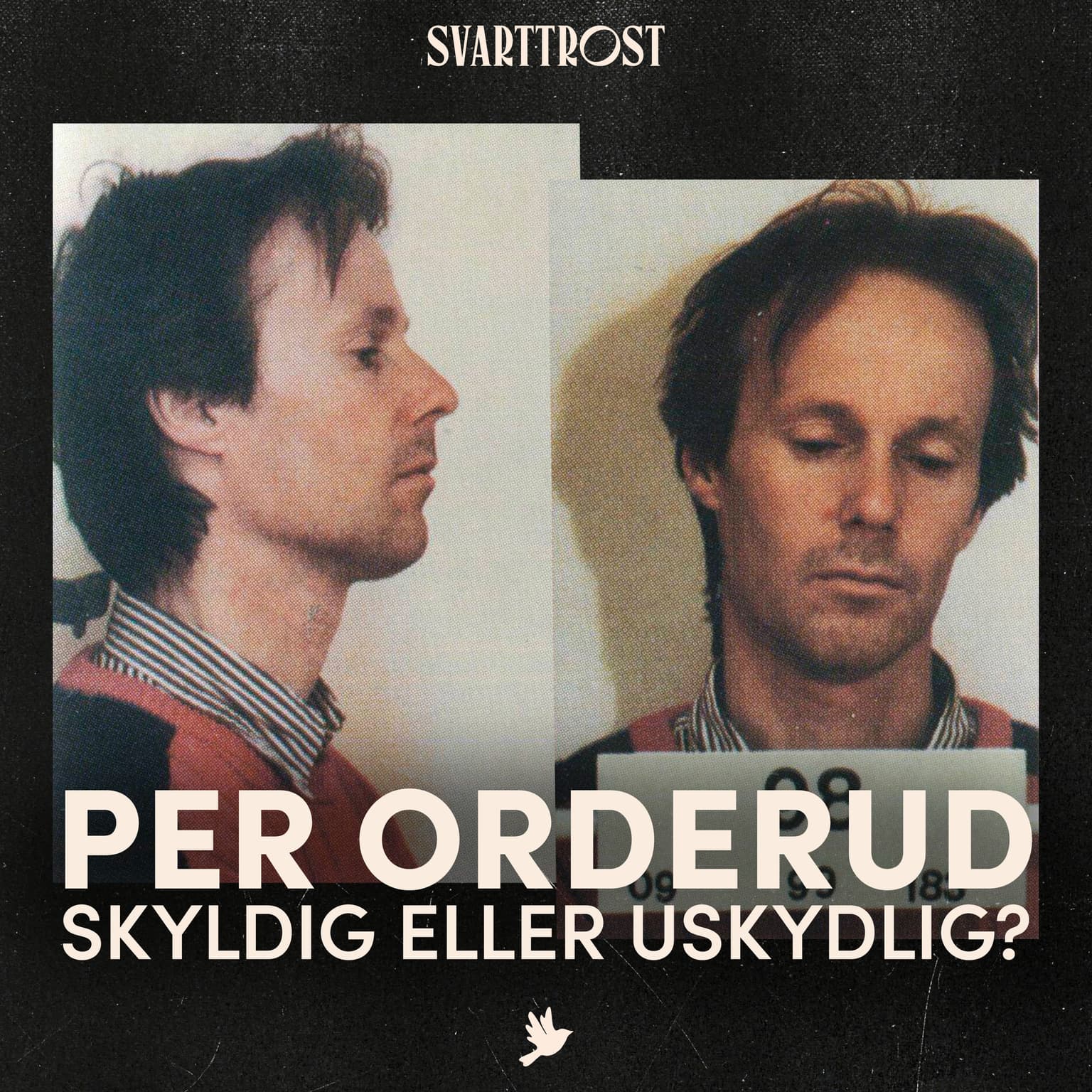 Per Orderud – skyldig eller uskyldig? (1:6) Knust glass artwork