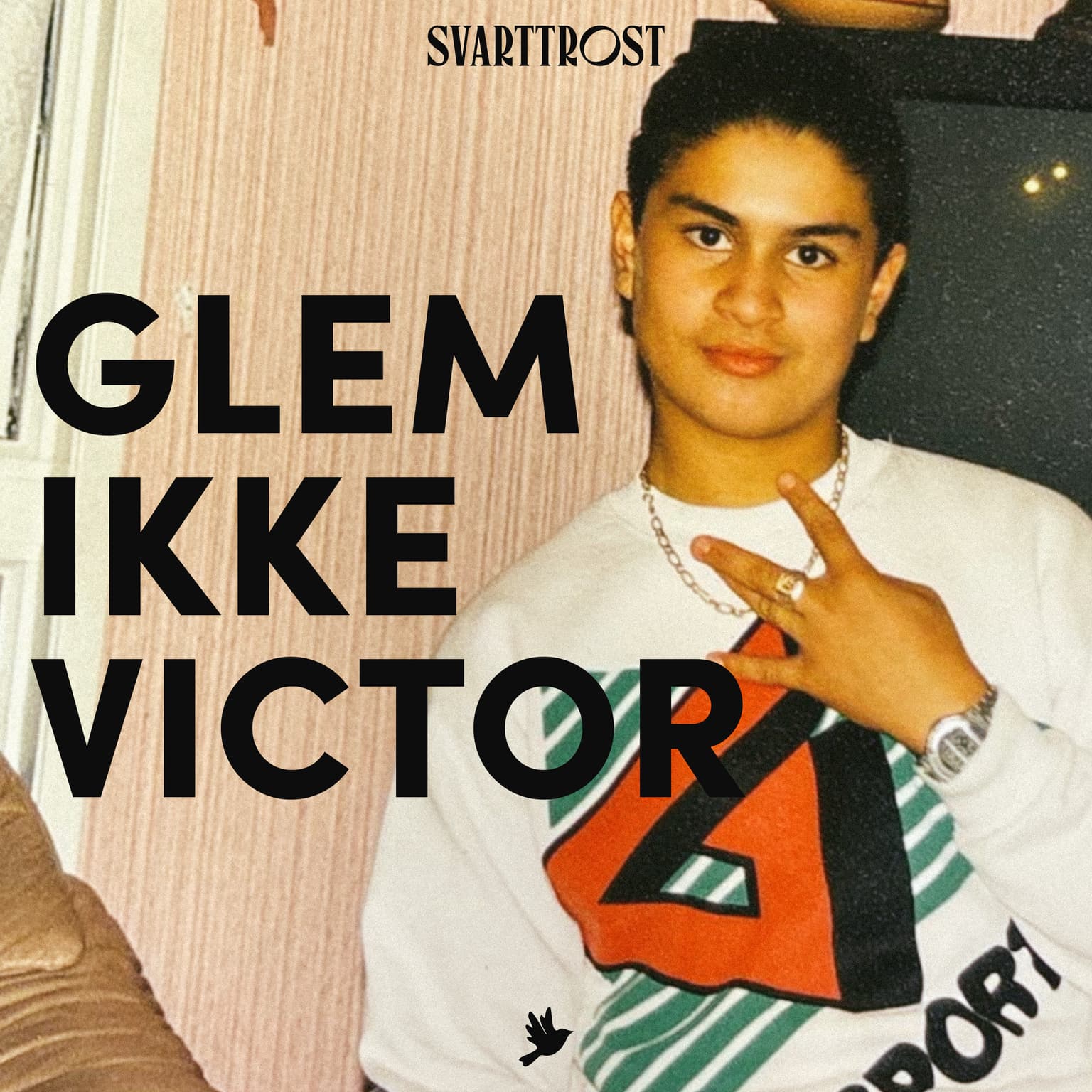 Trailer: Glem ikke Victor artwork
