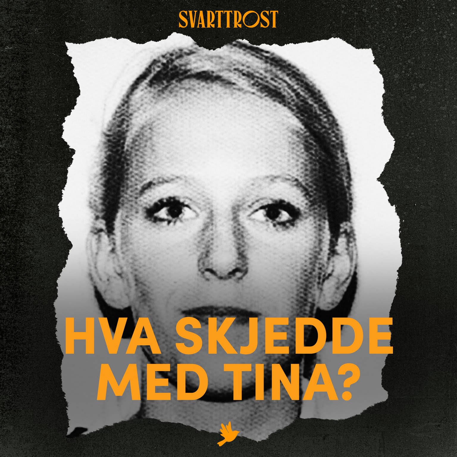 Hva skjedde med Tina? (1:6) Tina blir borte artwork