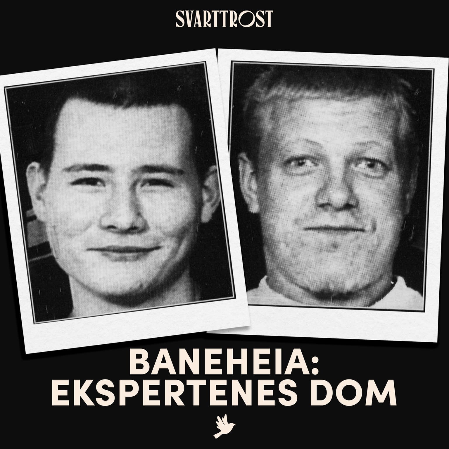 Baneheia: Ekspertenes dom (2) Starten på et justismord artwork