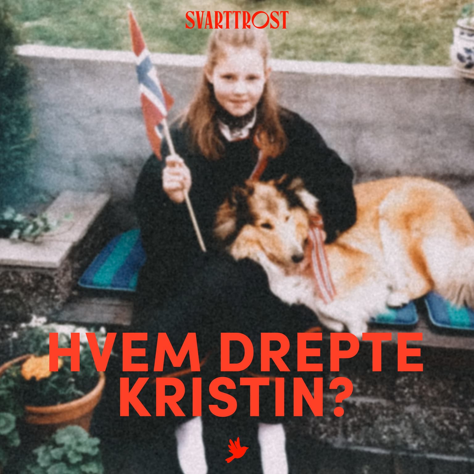 Hvem drepte Kristin? (1:6) Kristin forsvinner artwork