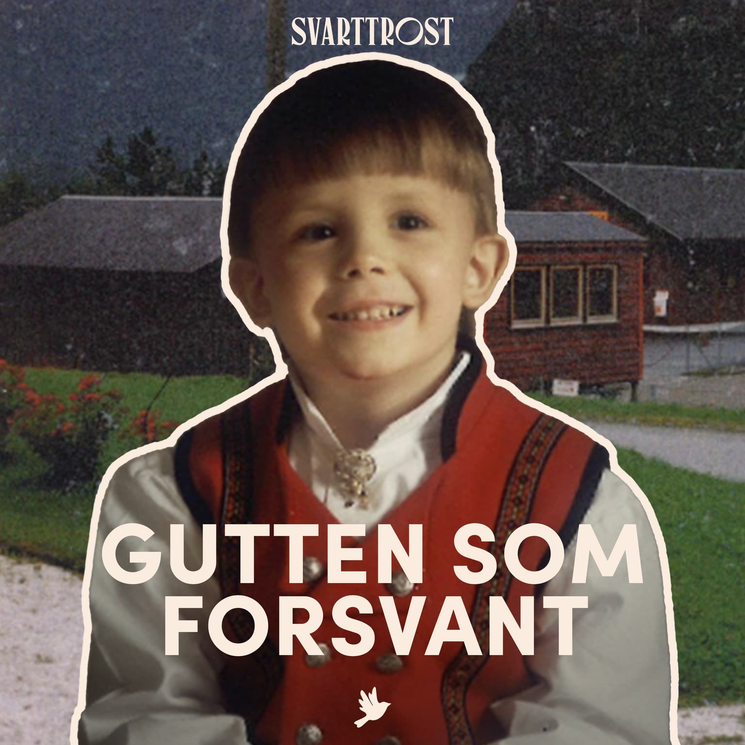 Gutten som forsvant (1:4) Forsvinningen artwork