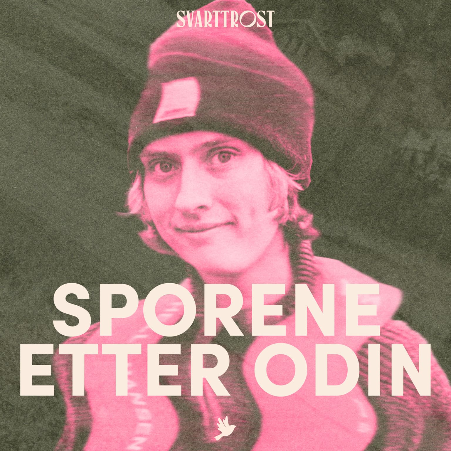 Sporene etter Odin (1:5) Odin forsvinner artwork