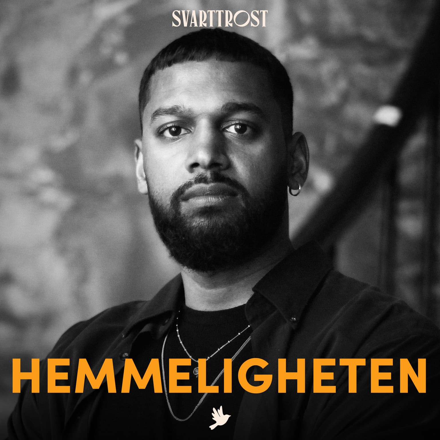 Hemmeligheten (1:5) Dobbeltliv artwork