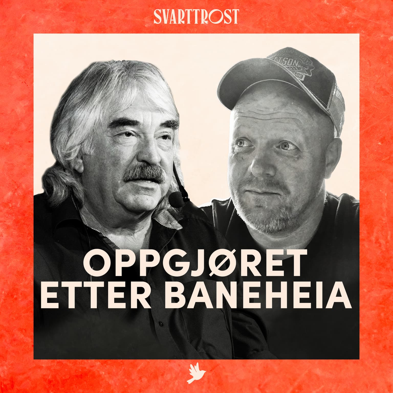 Oppgjøret etter Baneheia (1) Millionkravet artwork