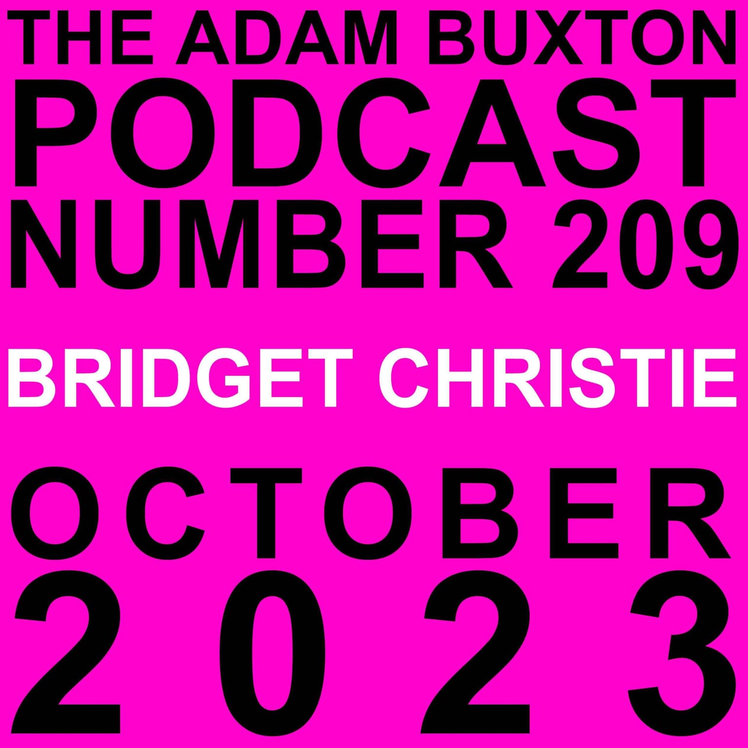 EP.209 - BRIDGET CHRISTIE artwork