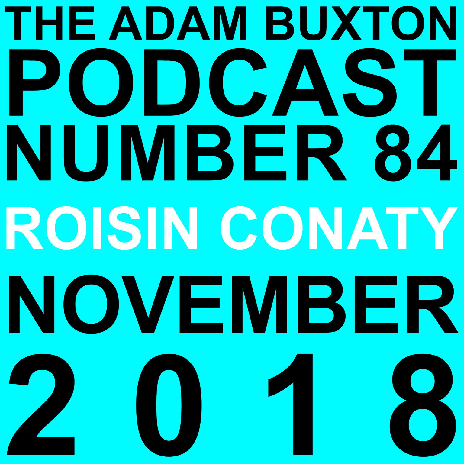 EP.84 - ROISIN CONATY artwork