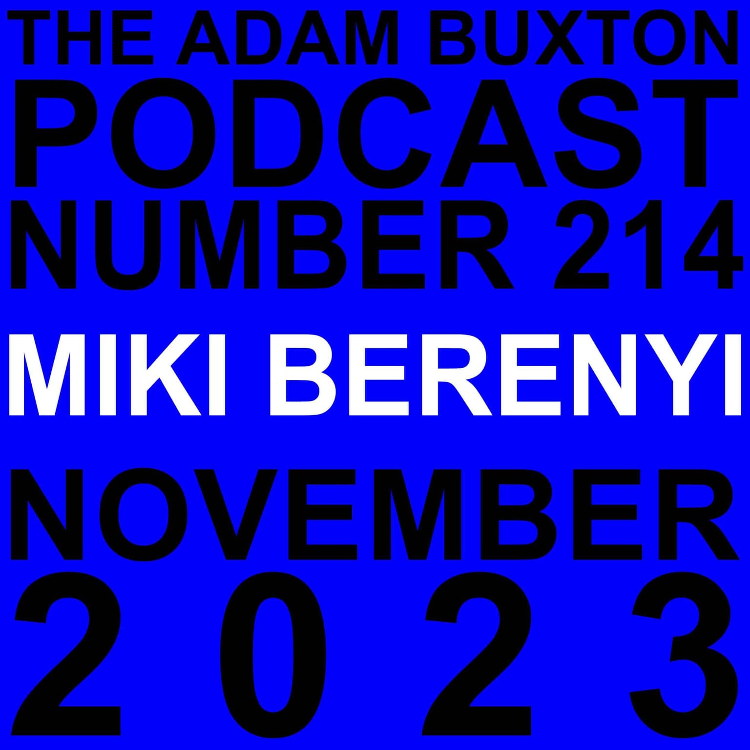 EP.214 - MIKI BERENYI artwork