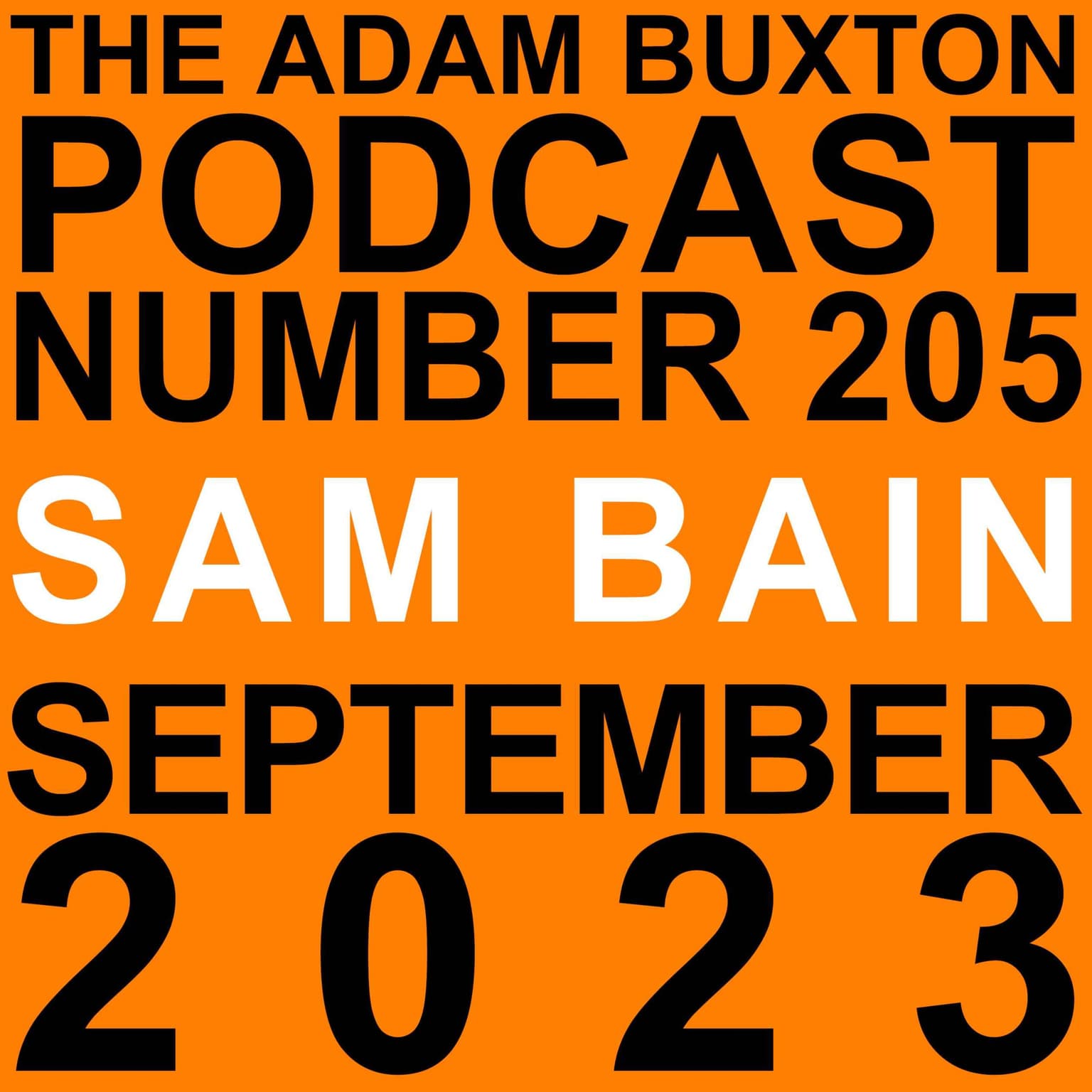 EP.205 - SAM BAIN artwork