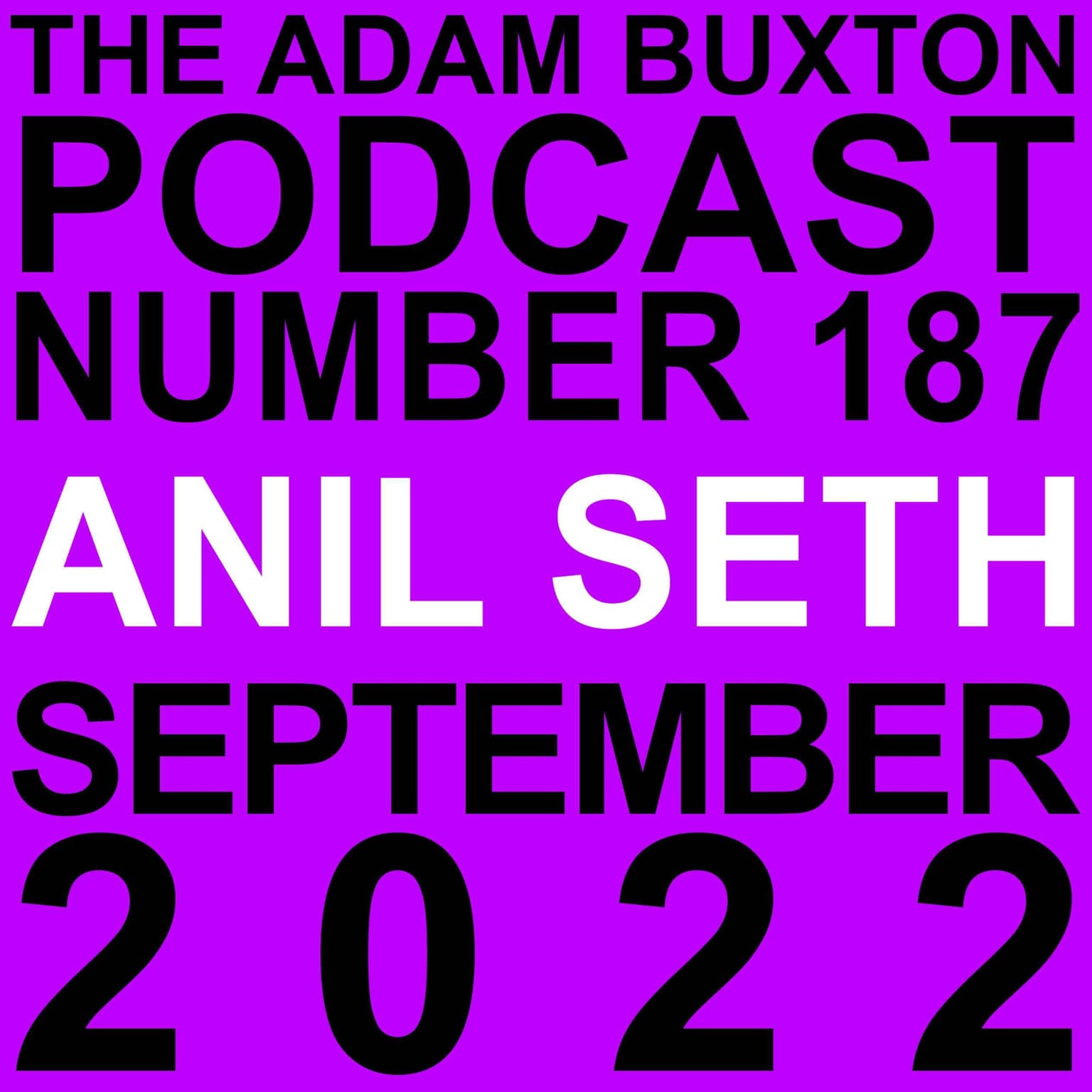 EP.187 - ANIL SETH artwork