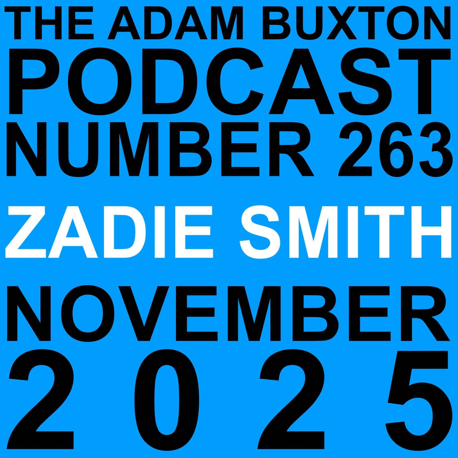 EP.263 - ZADIE SMITH artwork