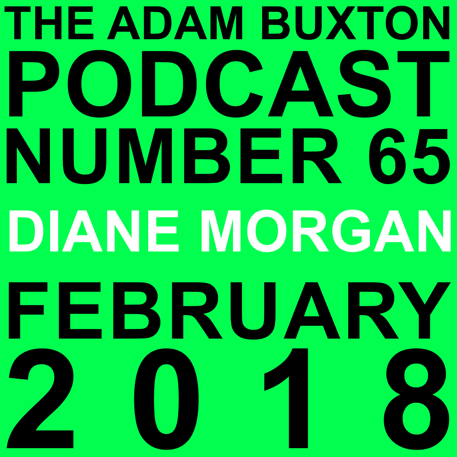 EP.65 - DIANE MORGAN artwork