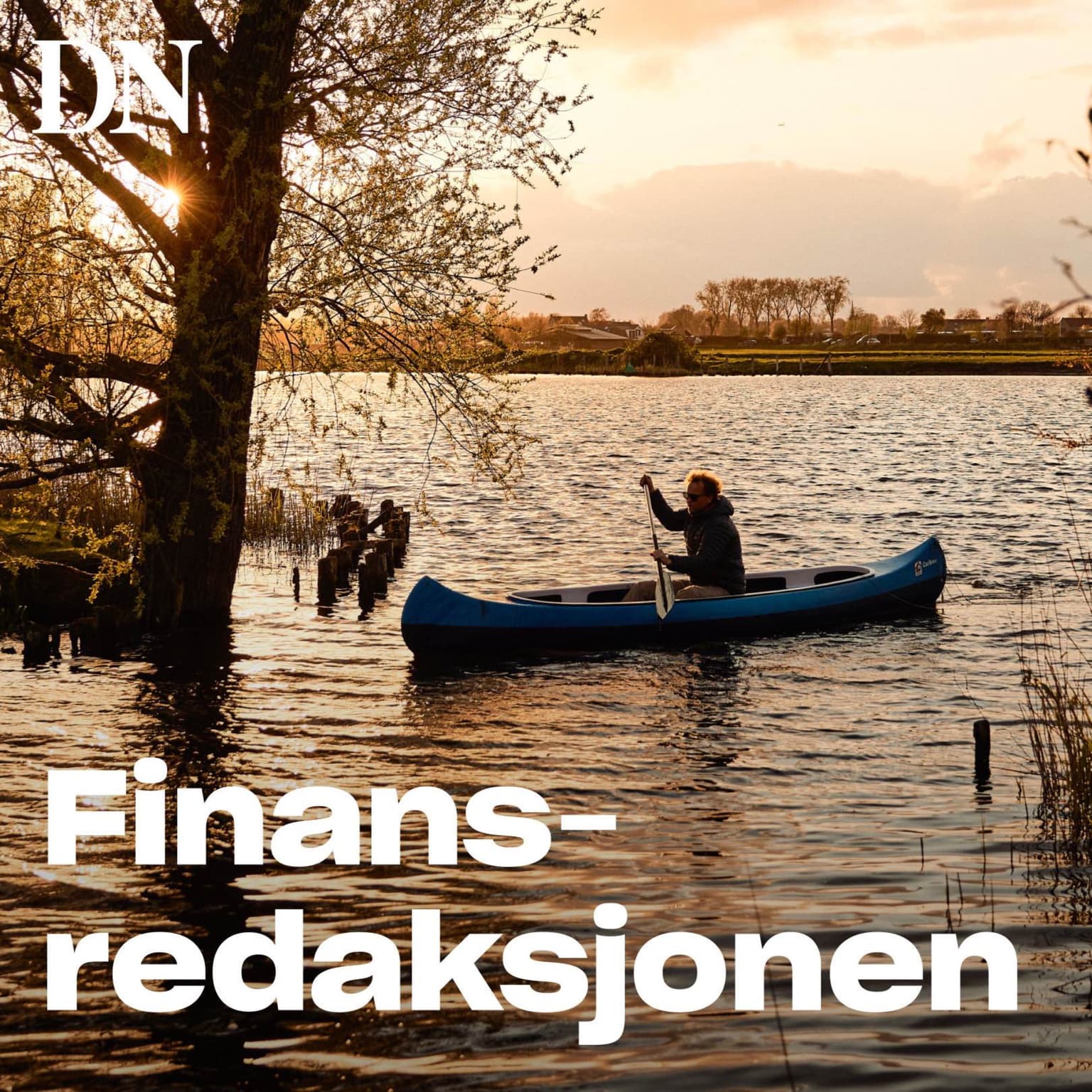 Sommerferie - spesial - Jakten på villmarken i Nederland artwork