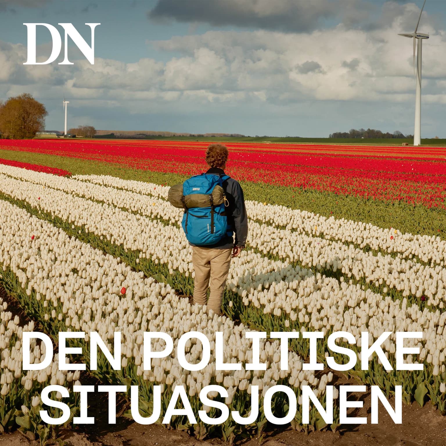 Sommerspesial - Jakten på villmark i Nederland artwork
