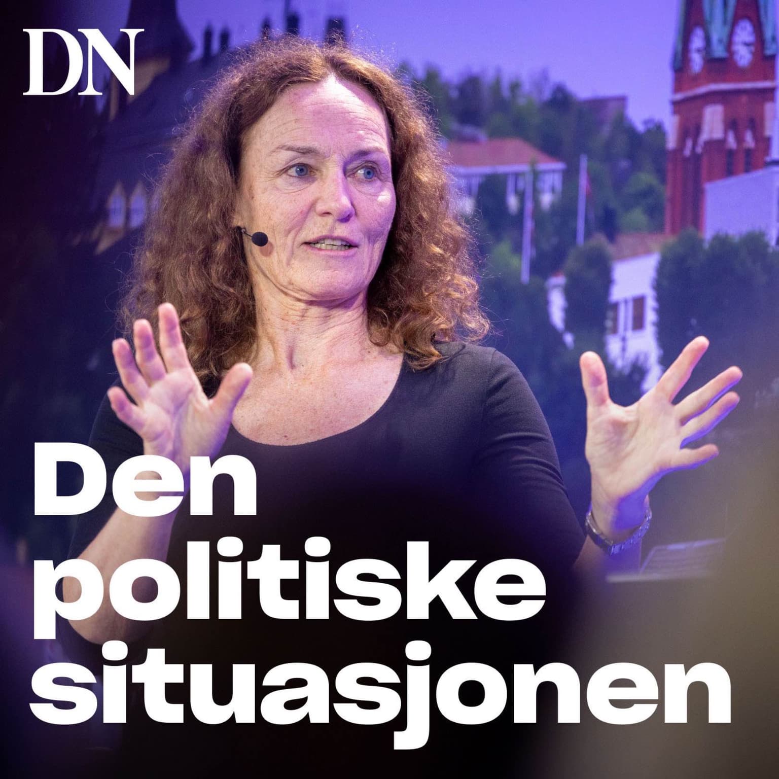 Guttekrise - hvilken guttekrise? artwork
