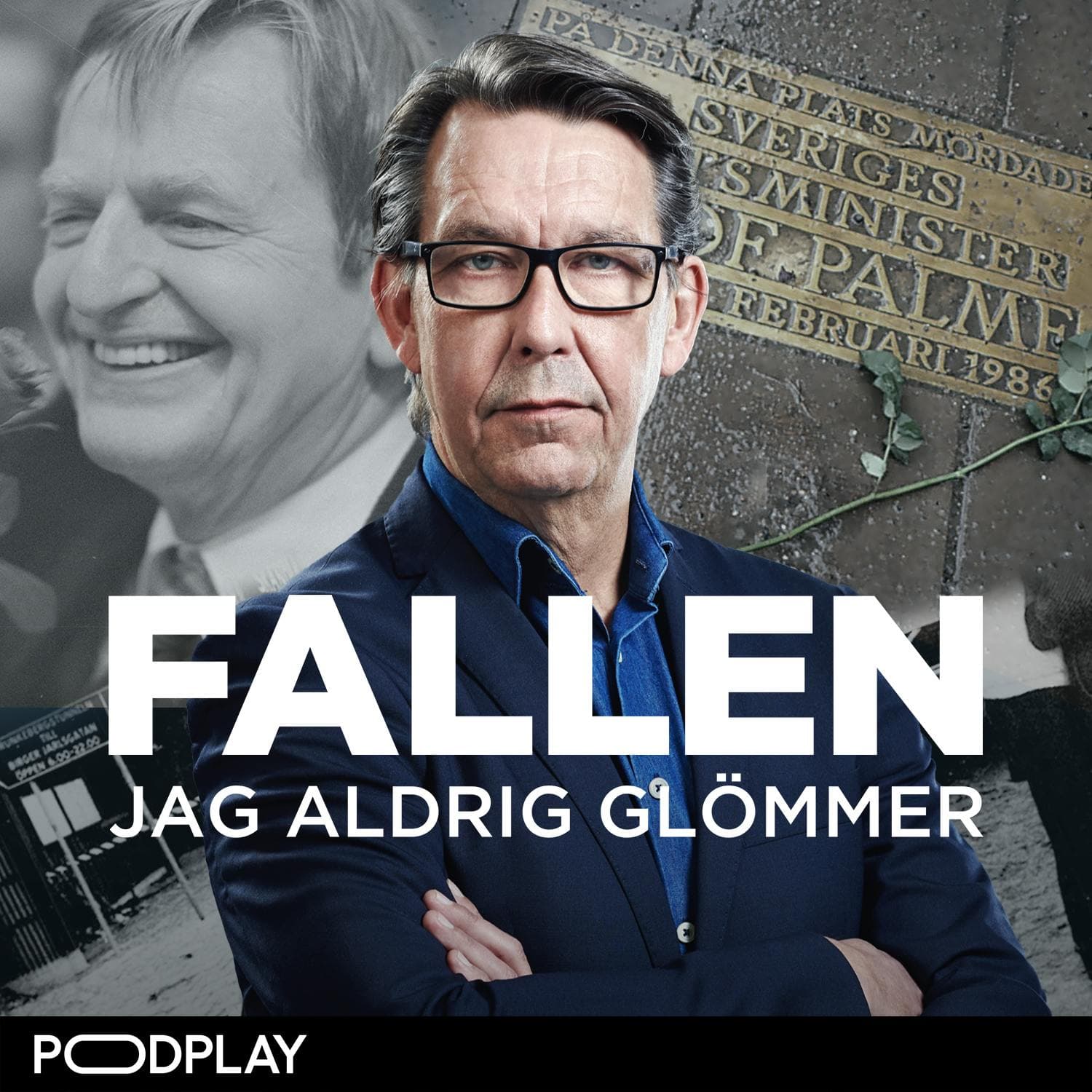 Ur arkivet: Den sannolike mördaren - Palmespecial del 3 av 3 artwork