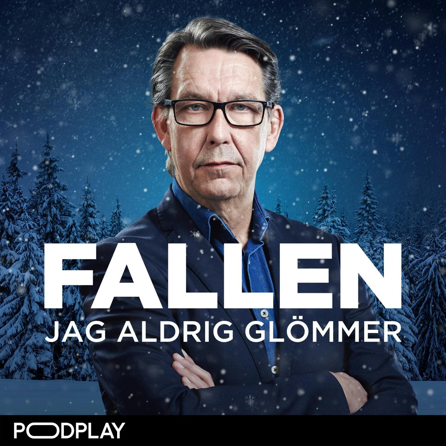 (R) Mördarkvinnorna i julidyllen artwork
