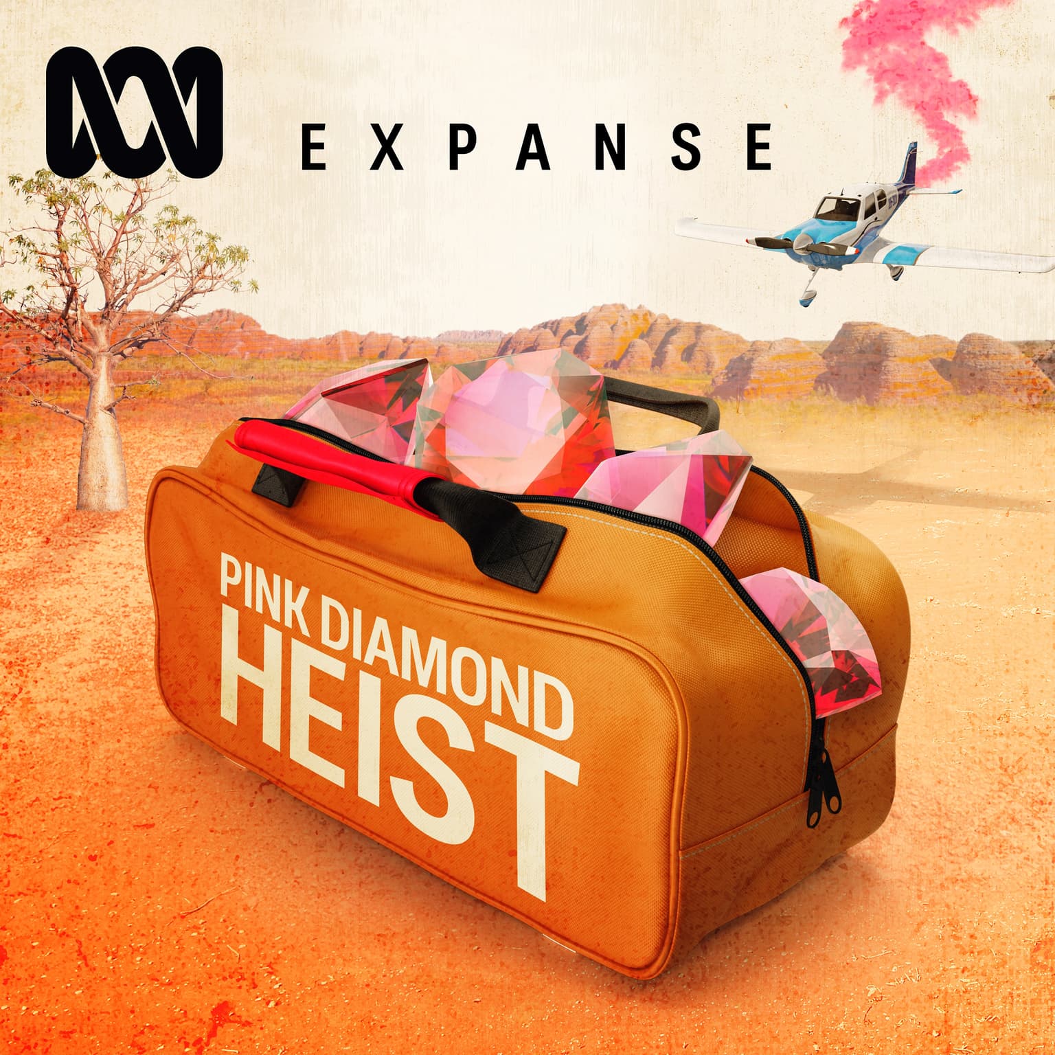05 Pink Diamond Heist | Roddan's Diamonds artwork