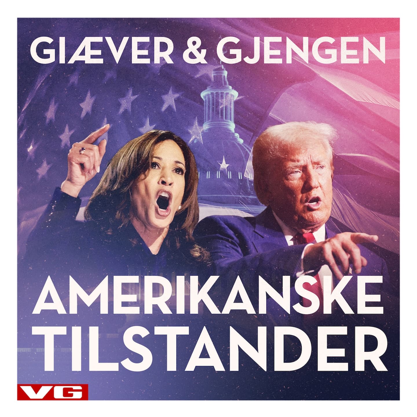 Amerikanske tilstander: Demokratenes hevn artwork