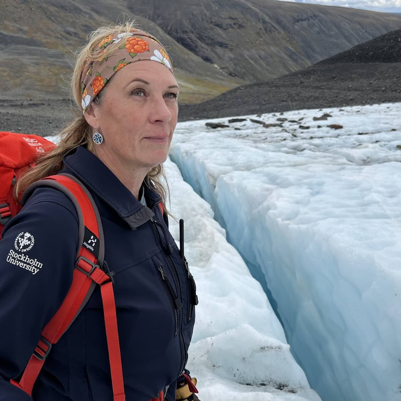 Glaciärens tysta reträtt – 600 meter is har försvunnit sen 1910 artwork