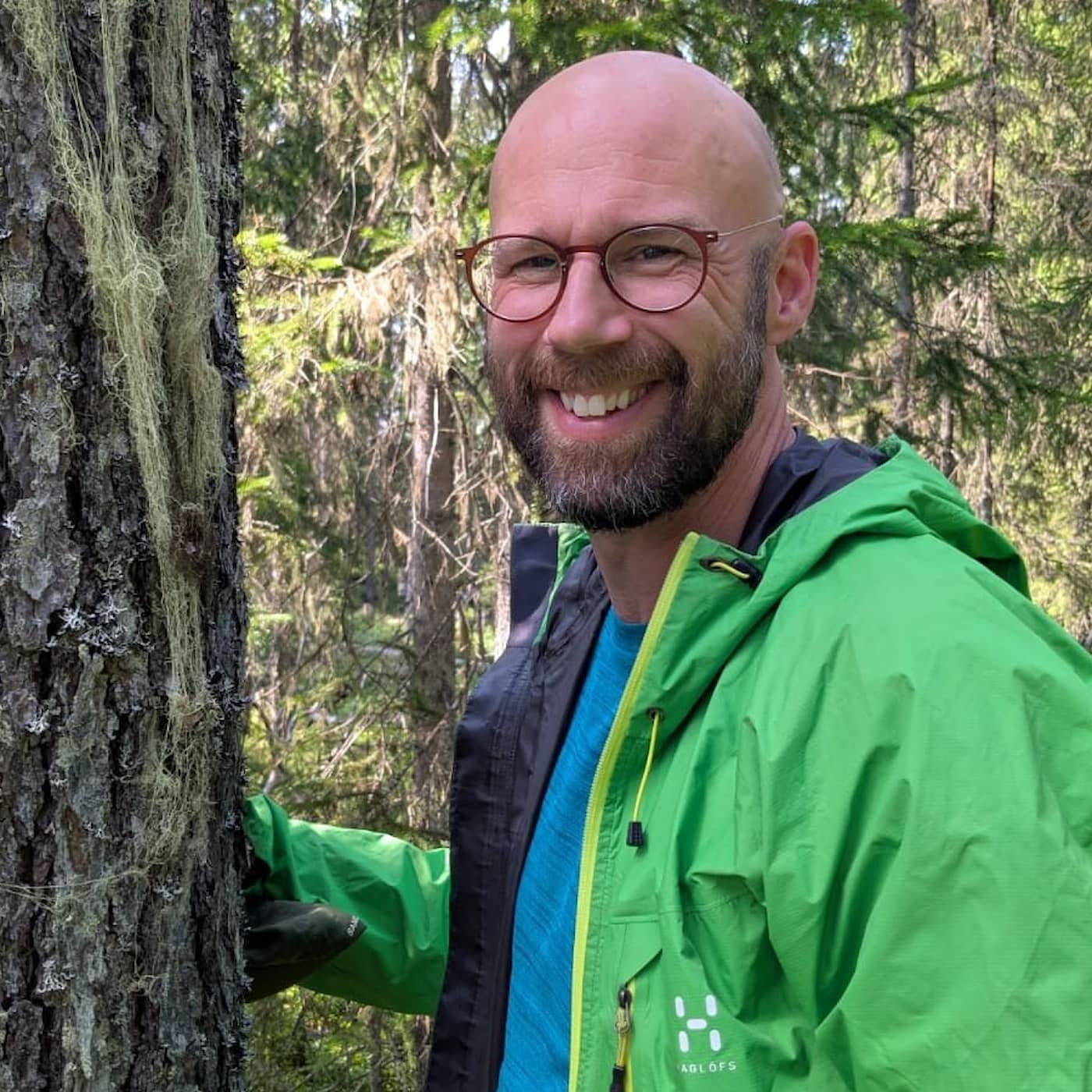 Så restaureras en skog för bästa mångfald artwork