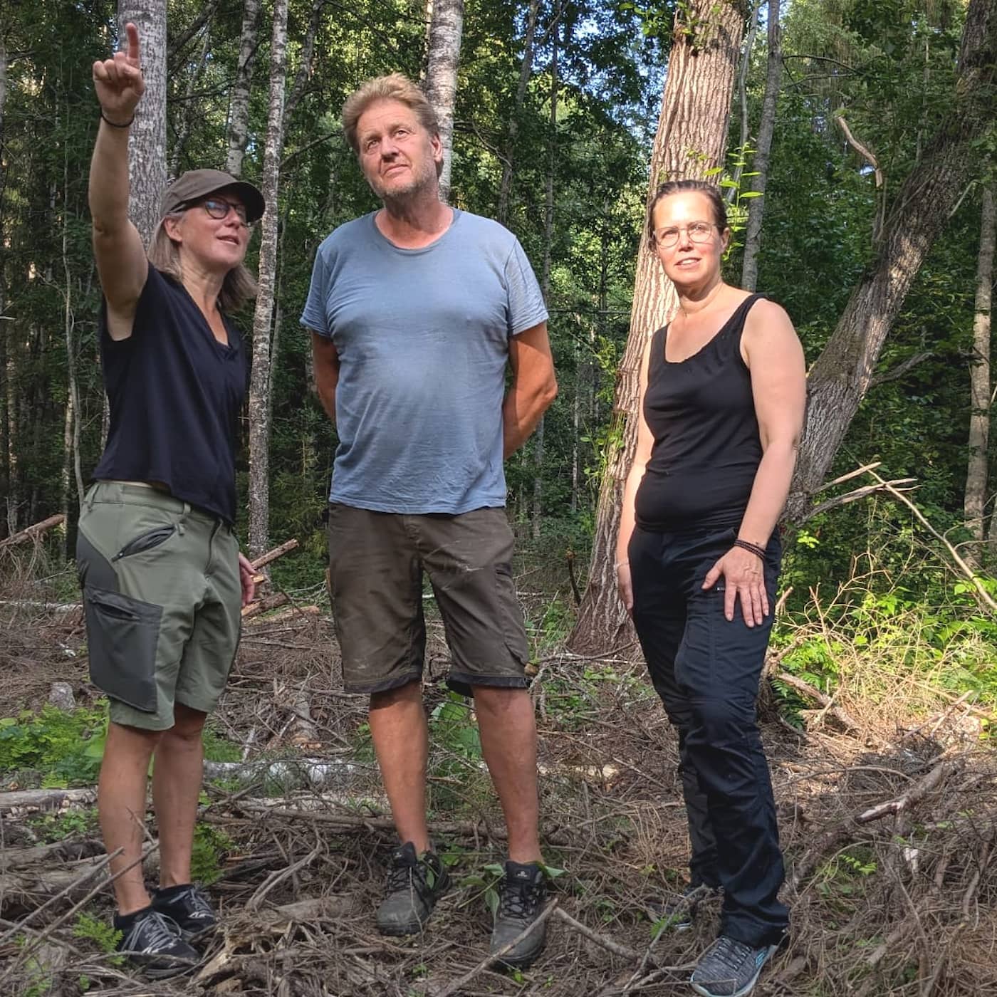 Privata skogsägare och landskapsperspektiv viktiga när naturrestaureringslag ska genomföras artwork
