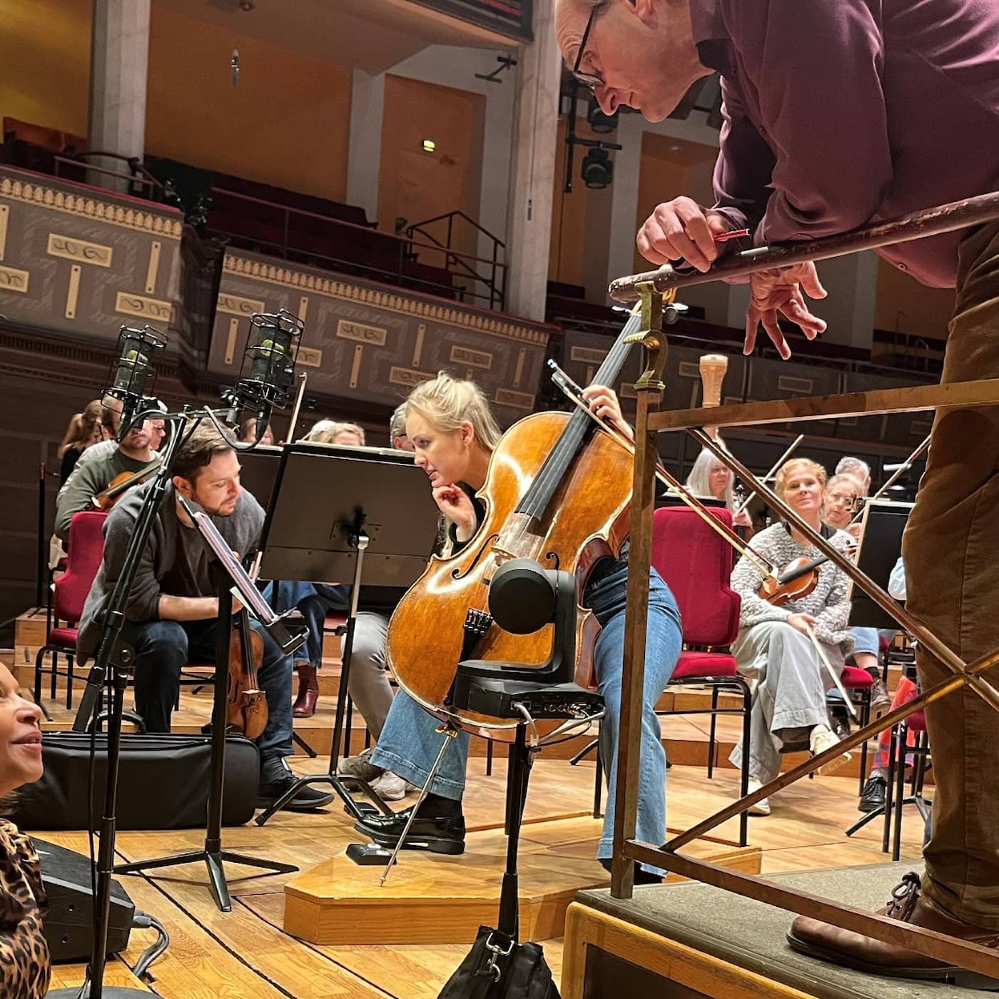Vetenskapsradion inspirerade till cellokonsert om humlor artwork