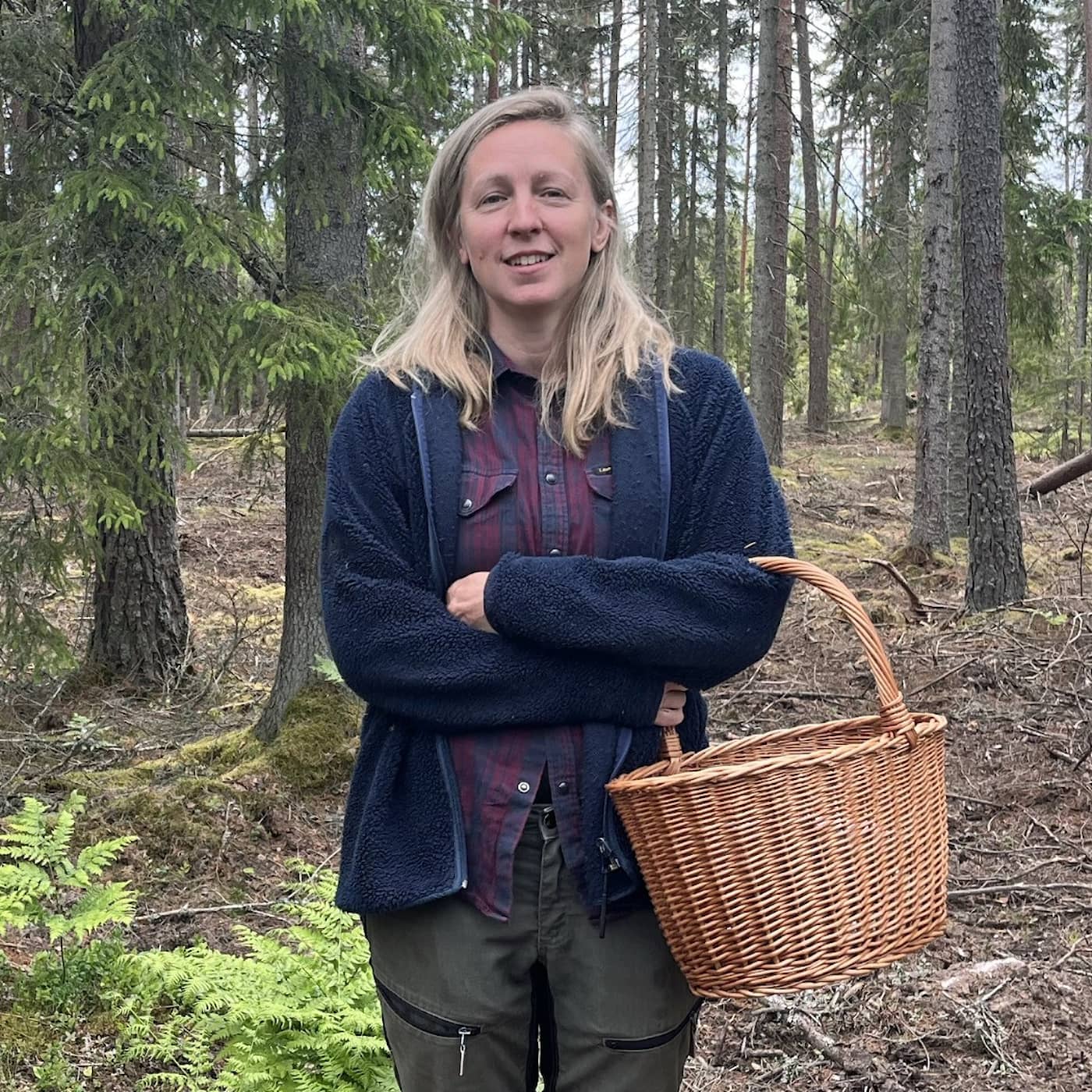 Allt fler skogsägare vill slopa hyggesbruket artwork