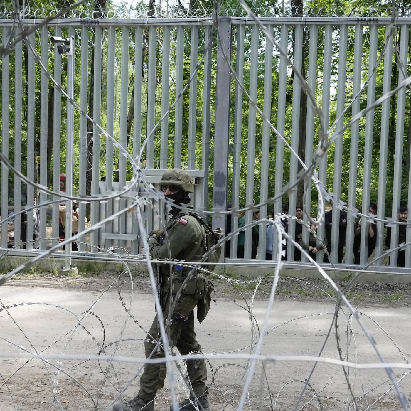 Muren som klyver urskogen – så drabbas världsarvet Białowieża av polska gränskonflikten artwork