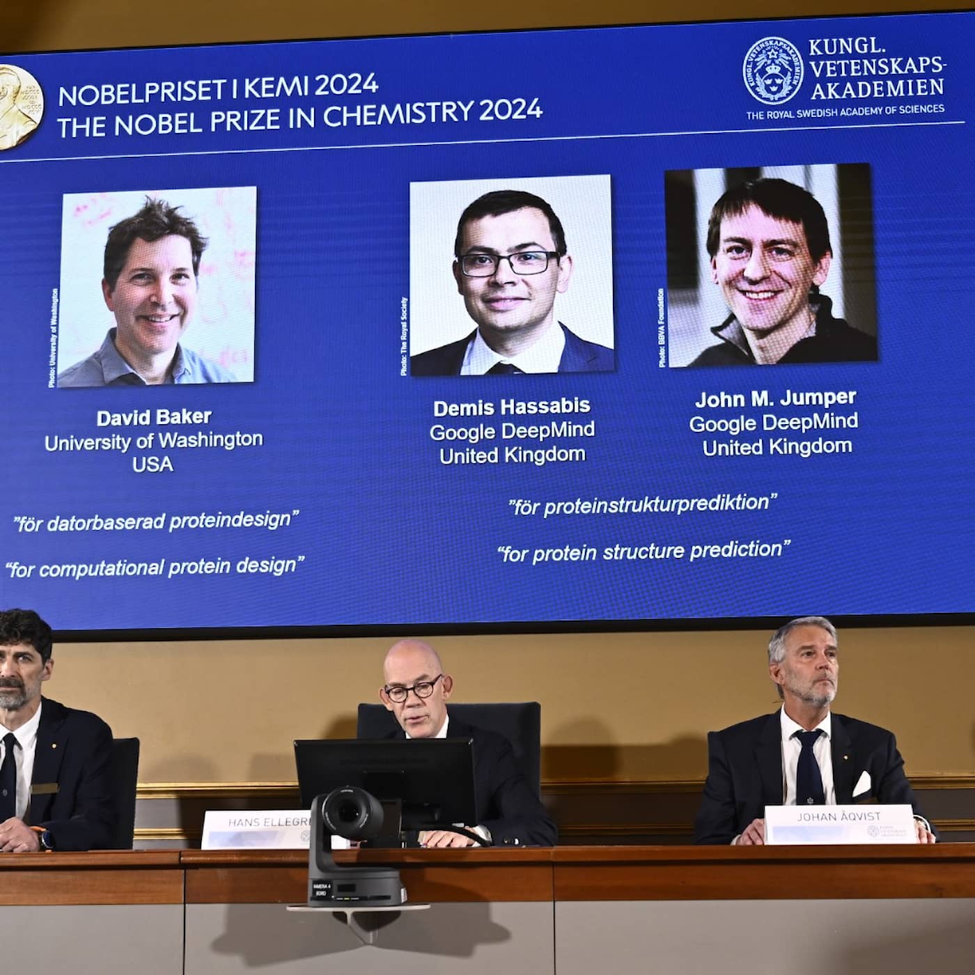 De får Nobelpriset i kemi 2024 – löste gåtor om proteinveckning artwork