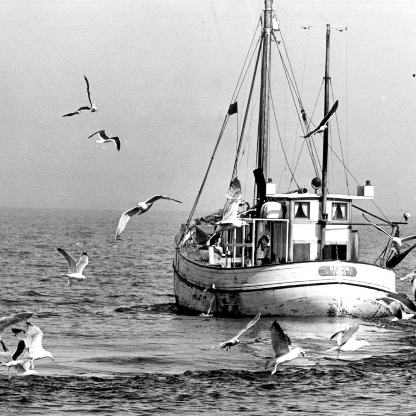 Bland inspektörer och fiskeföreningar – så såg skärgårdsfisket ut förr artwork