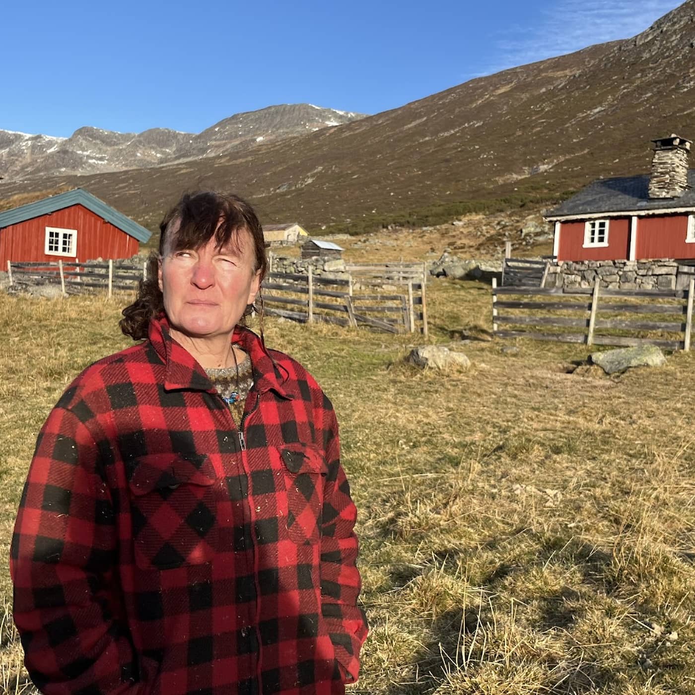 Fäbodkulturen ska bli del av mänsklighetens kulturarv artwork
