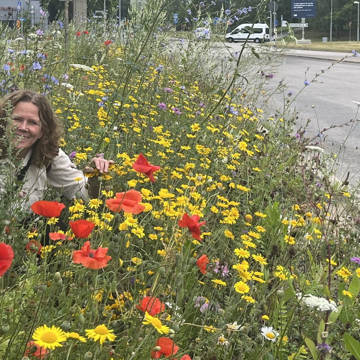 Längsta blomsterängen - gör både bin och människor lyckliga artwork