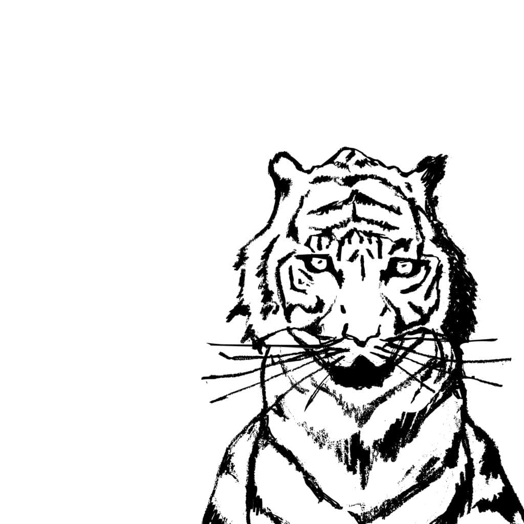Tiger artwork