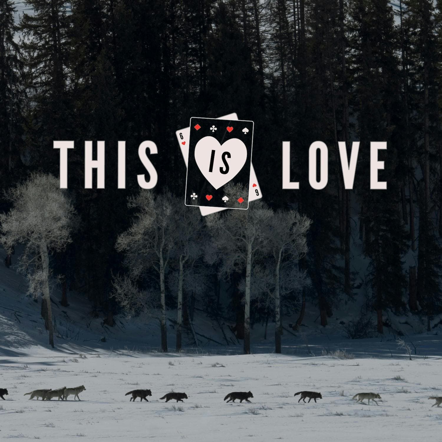 Looking for Wolves artwork